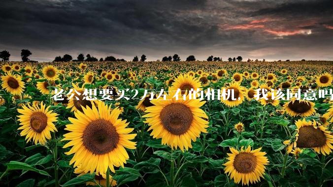 老公想要买2万左右的相机，我该同意吗？
